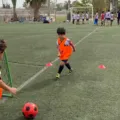 Les Sports Collectifs en Tunisie